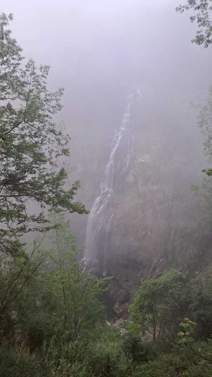 LINE_ALBUM_花漾杉林溪2日0421 2025_250423_9